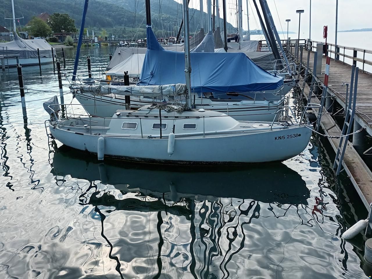 Flipper Scow Spaekhugger