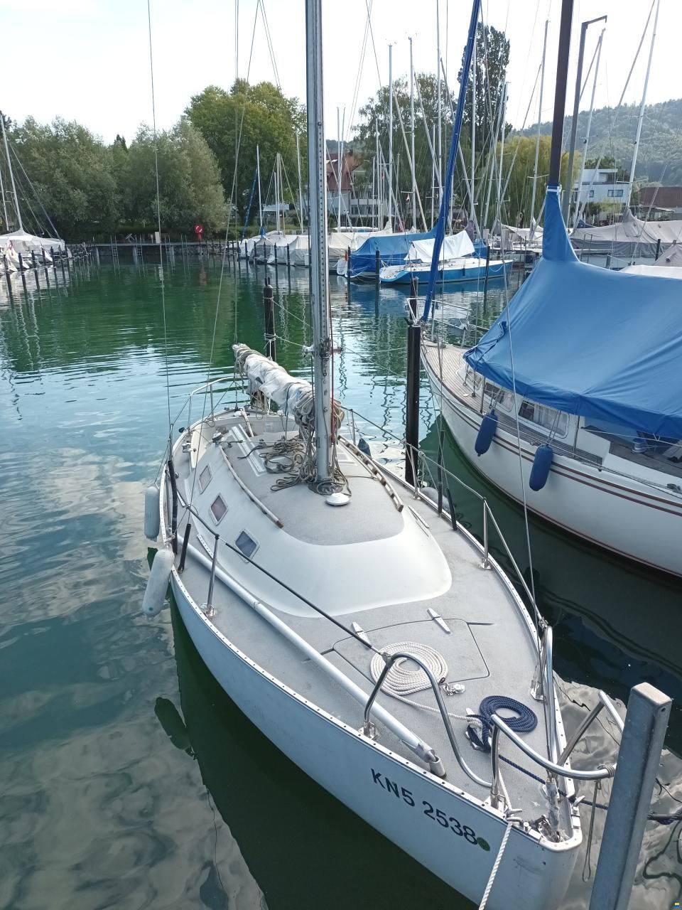 Flipper Scow Spaekhugger