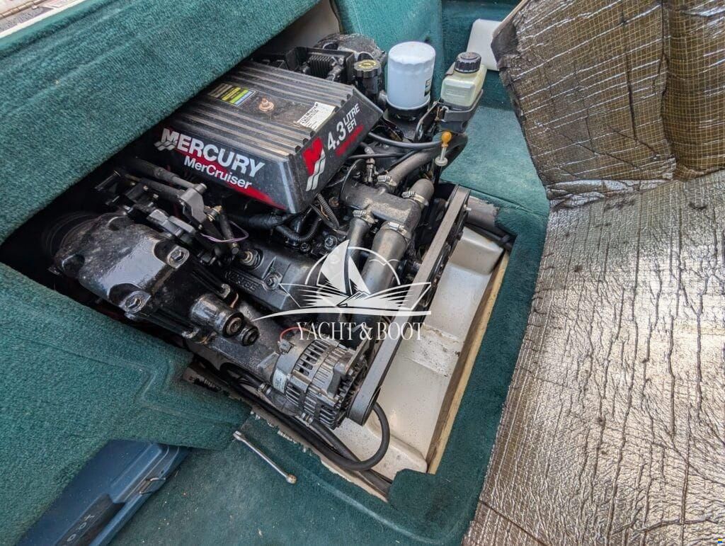 Sea Ray 190