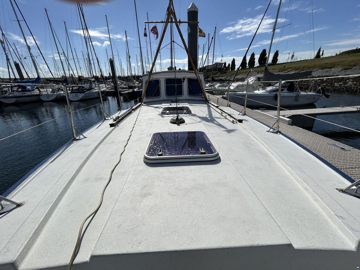 Rogger FD2