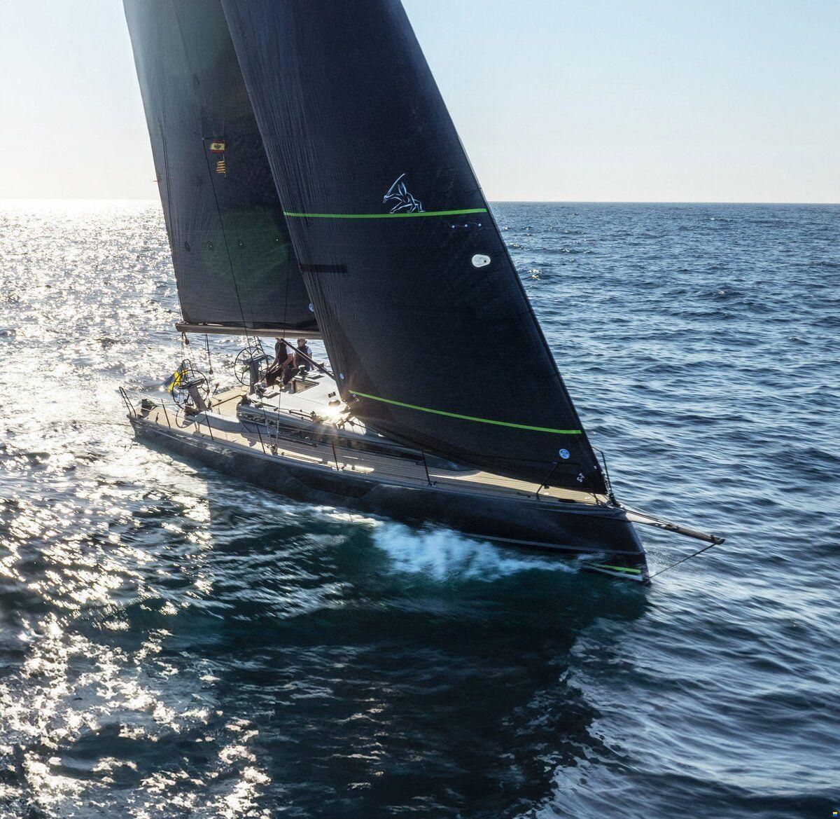 Shogun 43