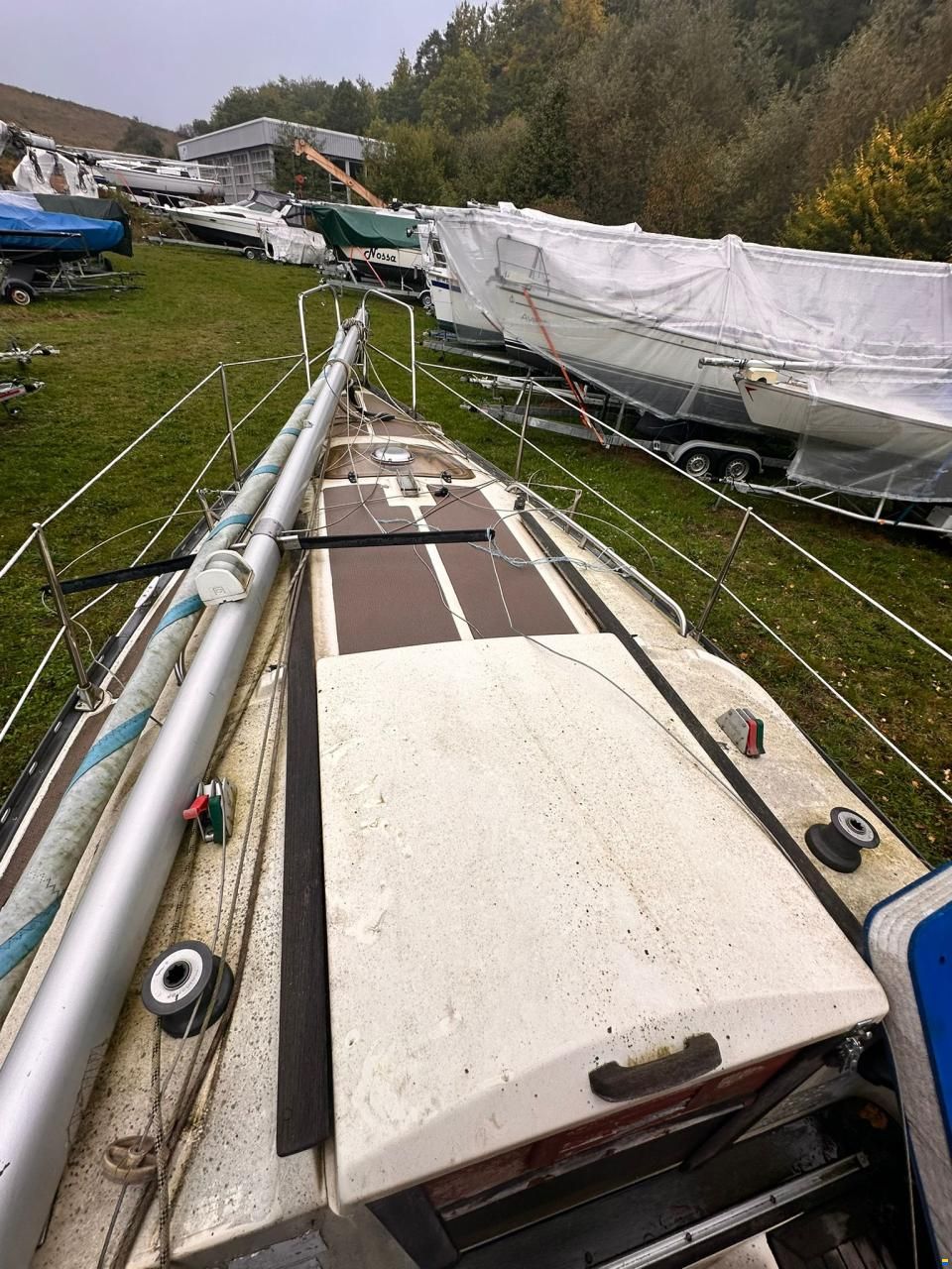 Neptun 23