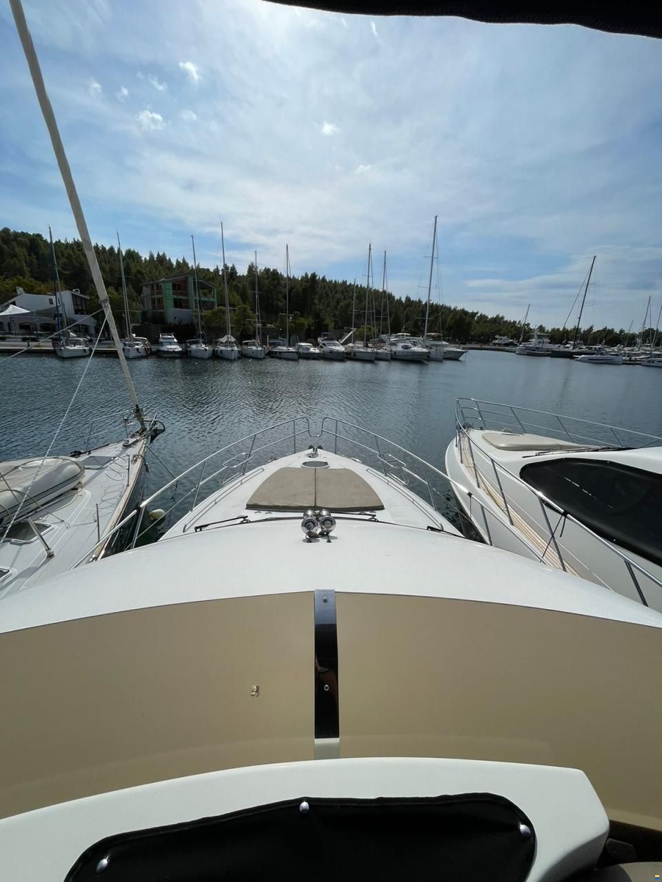 Princess 50