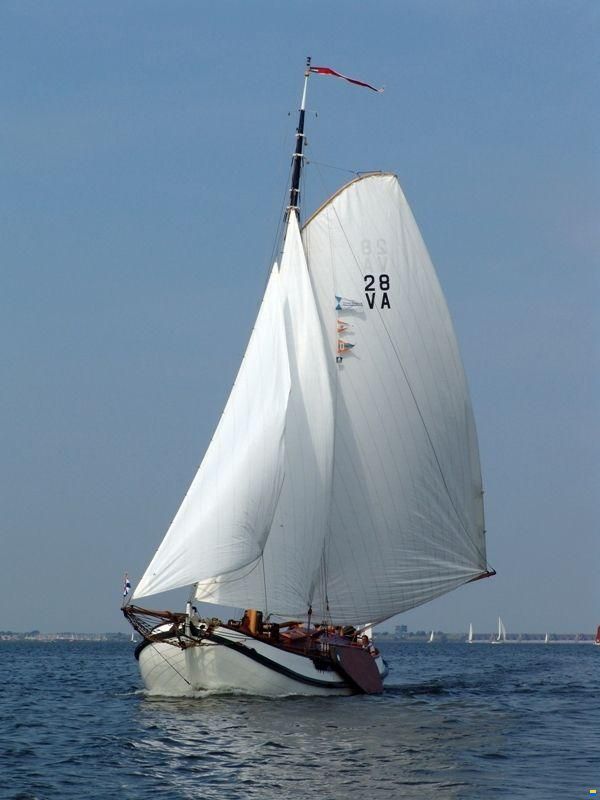 Lemsteraak Halley - Roefuitvoering