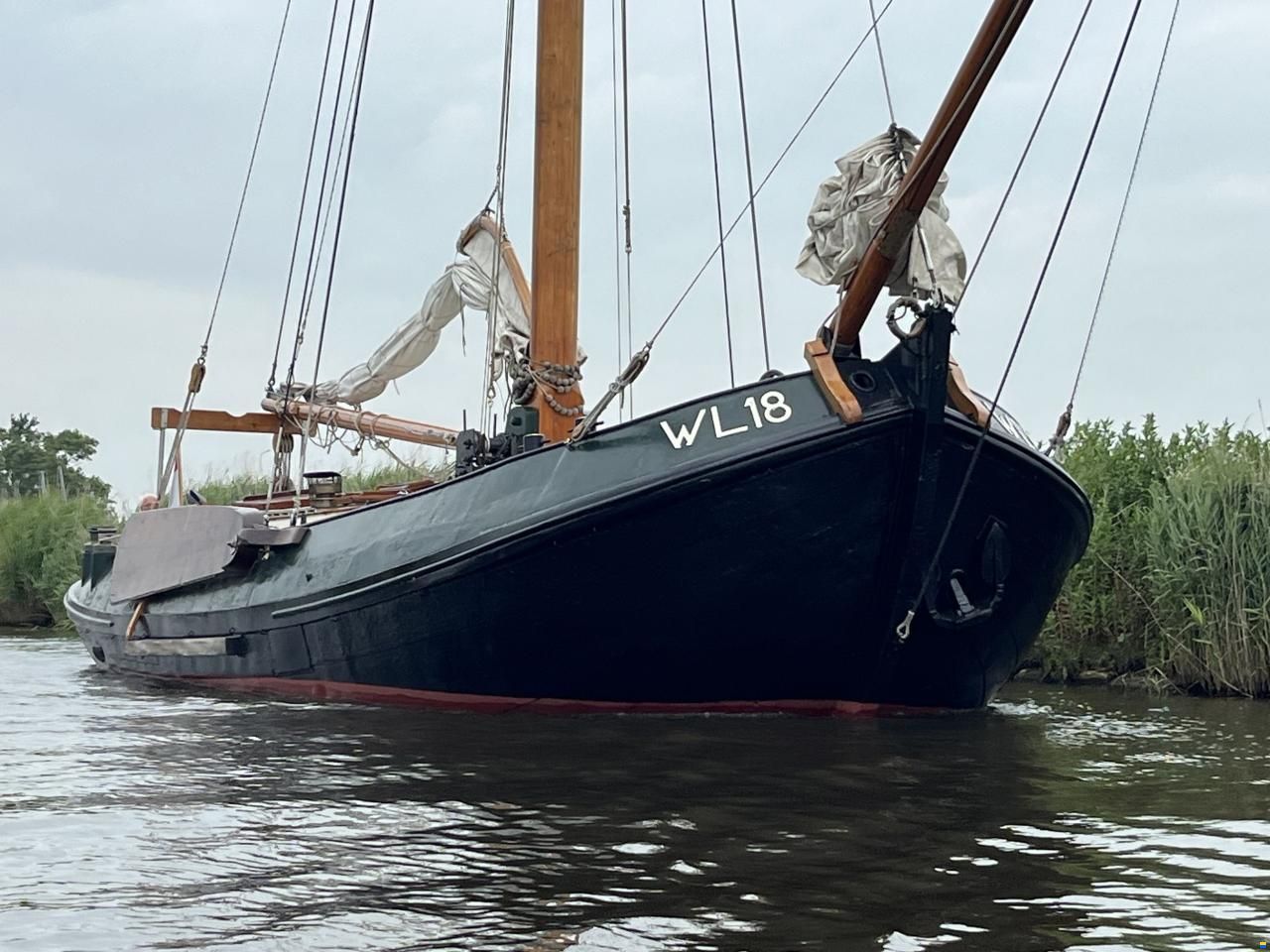 Lemsteraak WL 18 Fasant - Roefuitvoering Jachtuitvo