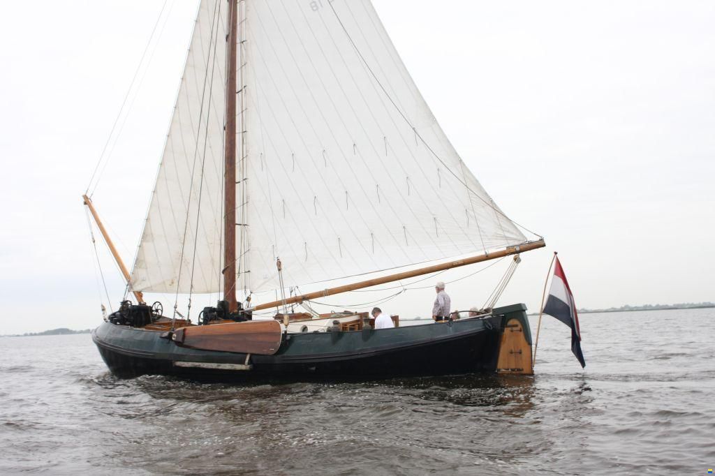 Lemsteraak WL 18 Fasant - Roefuitvoering Jachtuitvo