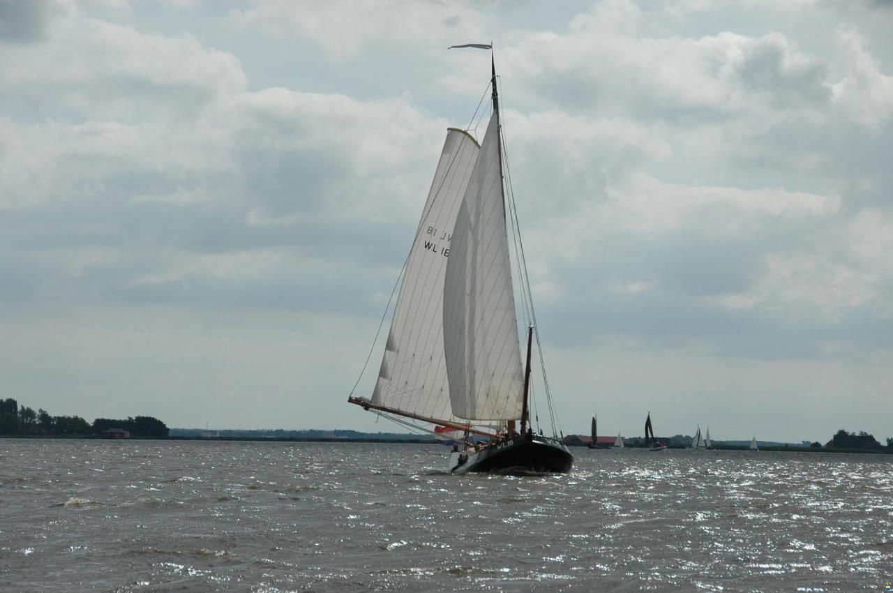 Lemsteraak WL 18 Fasant - Roefuitvoering Jachtuitvo
