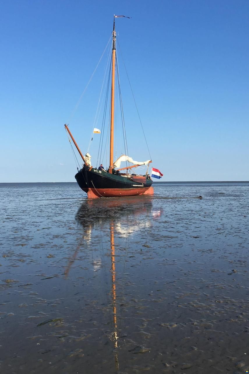 Lemsteraak WL 18 Fasant - Roefuitvoering Jachtuitvo