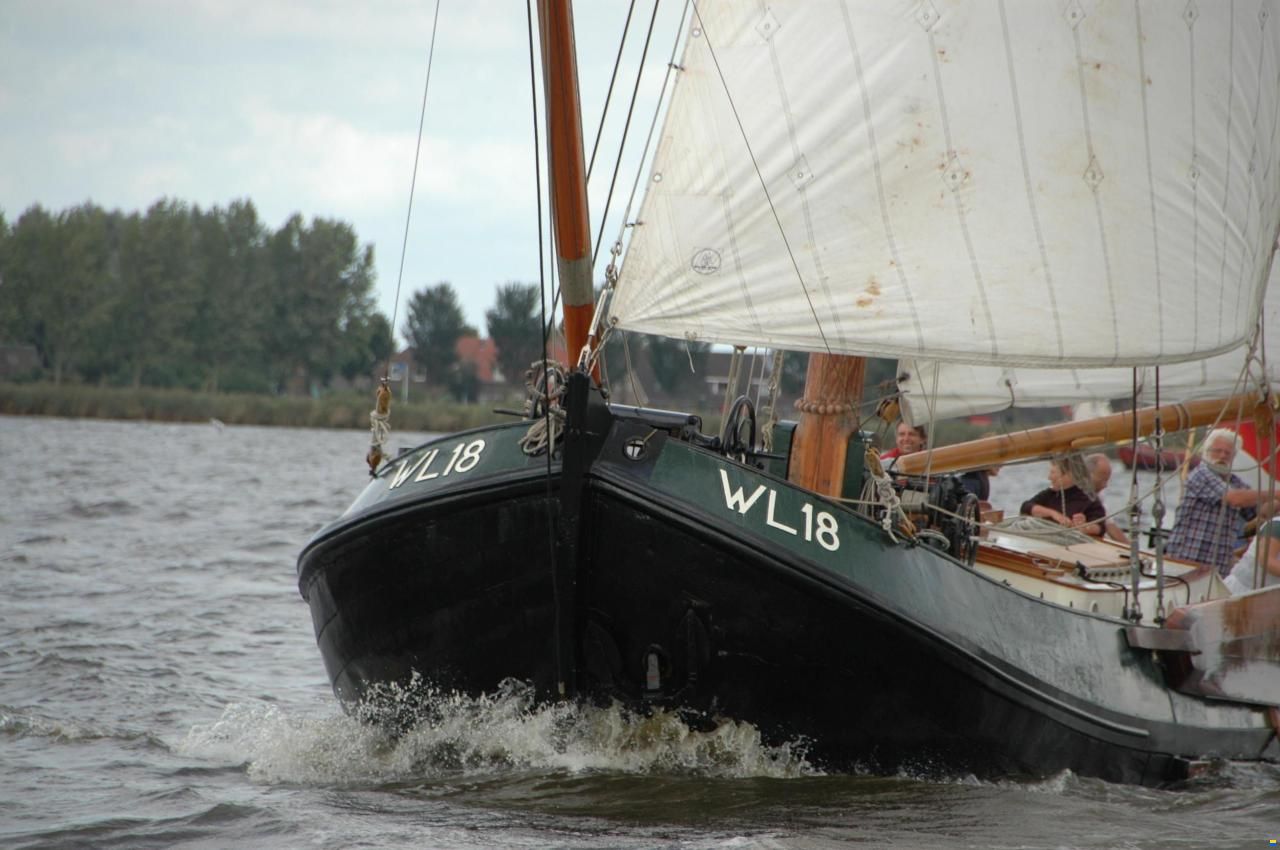 Lemsteraak WL 18 Fasant - Roefuitvoering Jachtuitvo