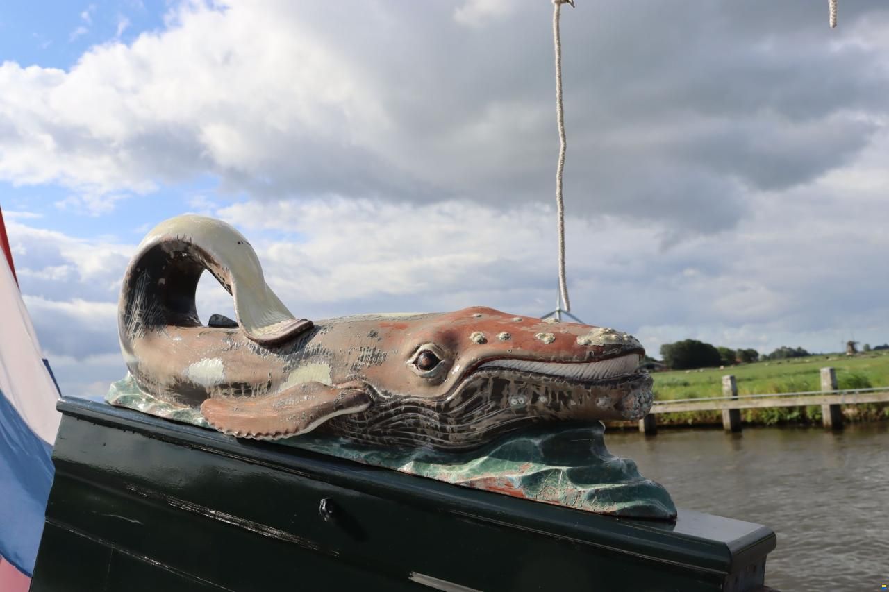 Lemsteraak Bonte Walvis - Roefuitvoering Stofberg 1