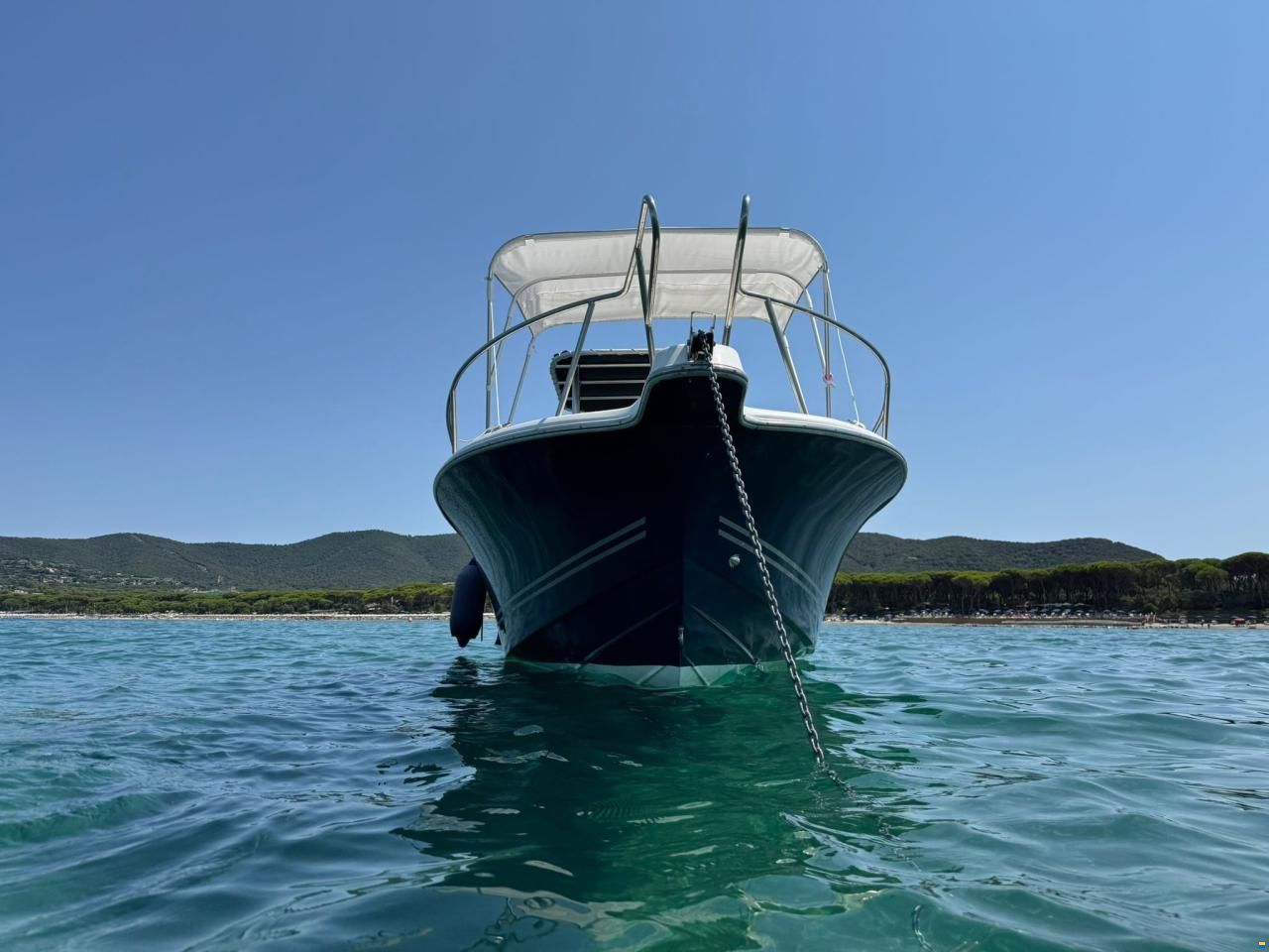 White Shark 215