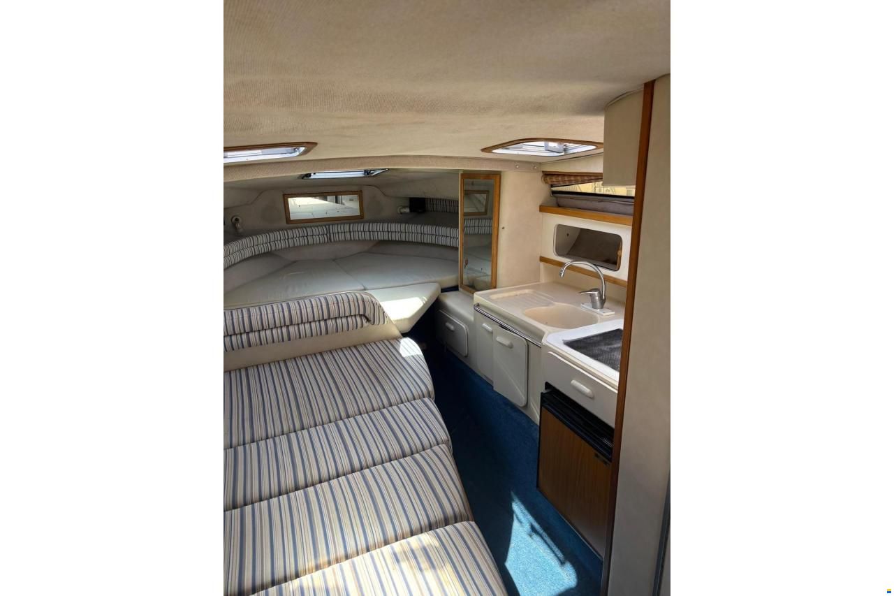 Sea Ray 290 Sundancer