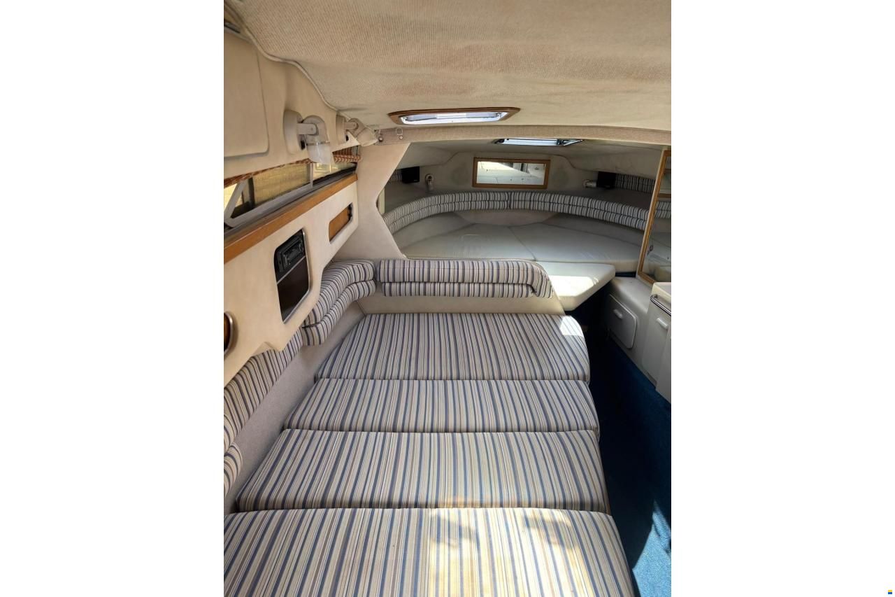 Sea Ray 290 Sundancer