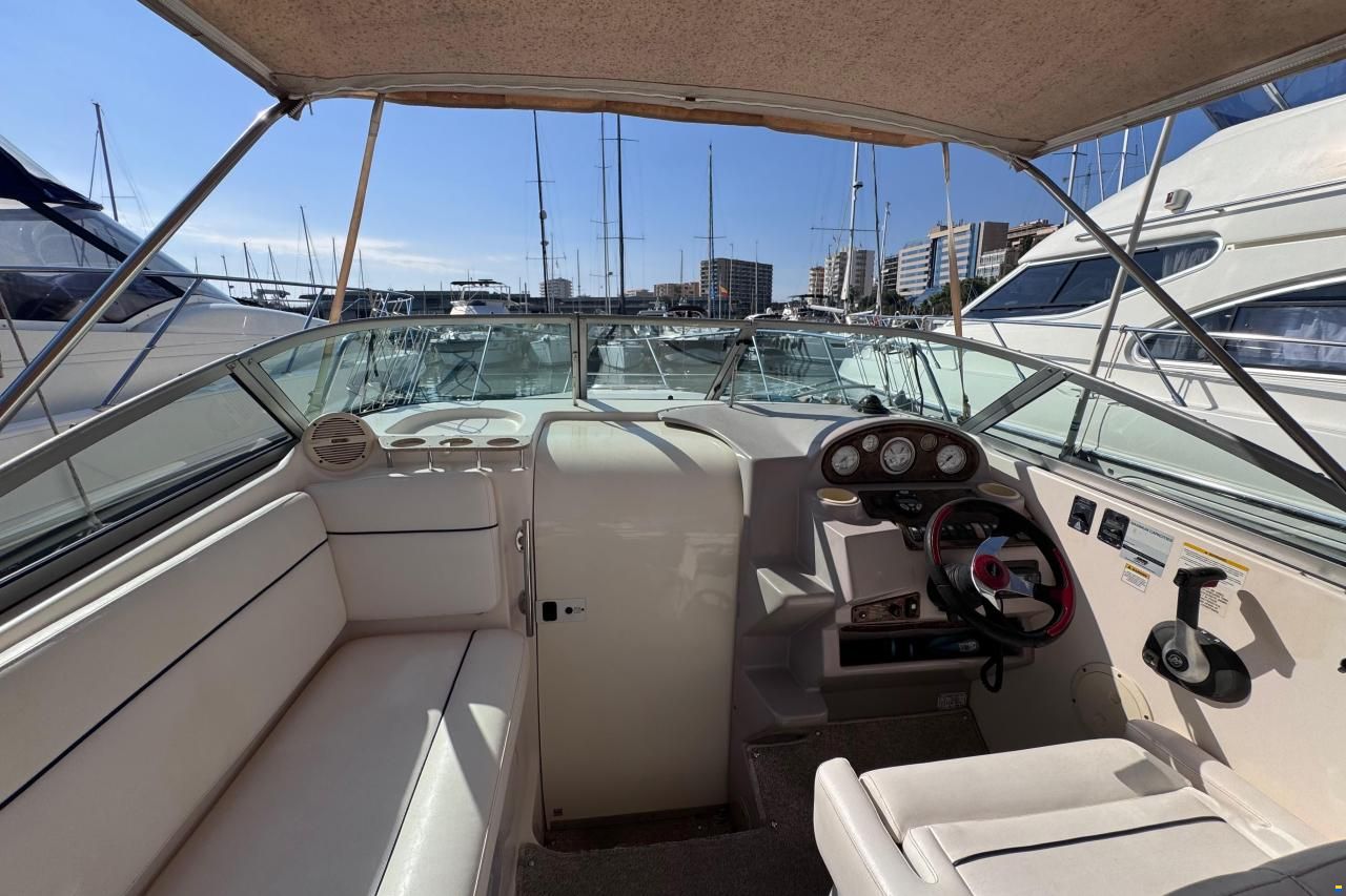 Rinker Fiesta Vee 250