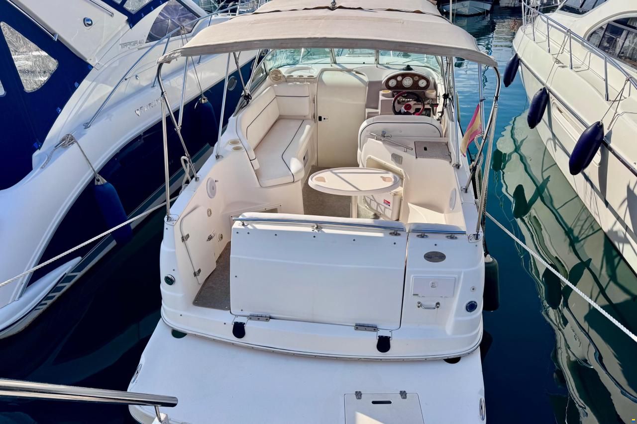 Rinker Fiesta Vee 250