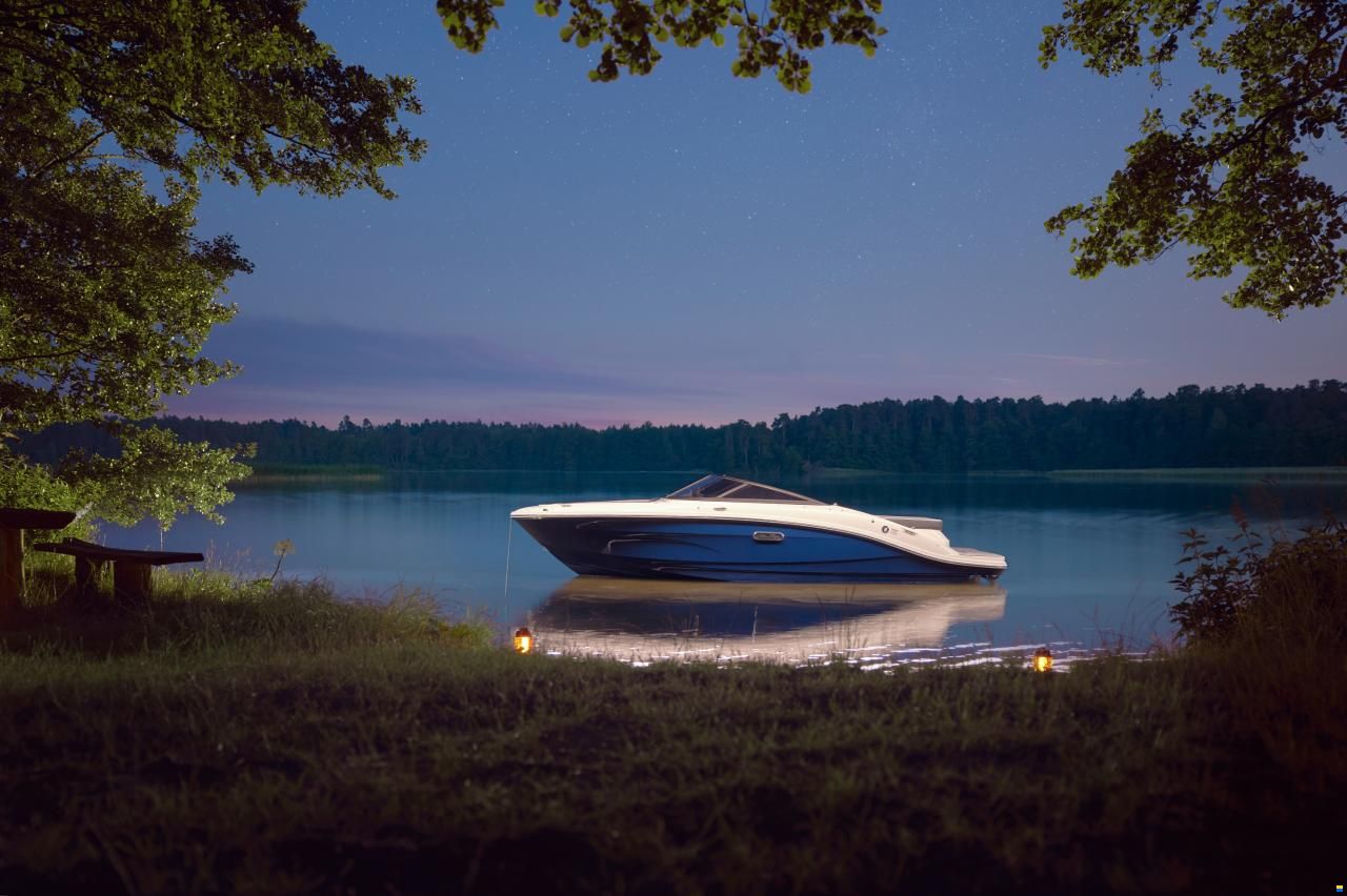 Sea Ray SPX 190 Europe