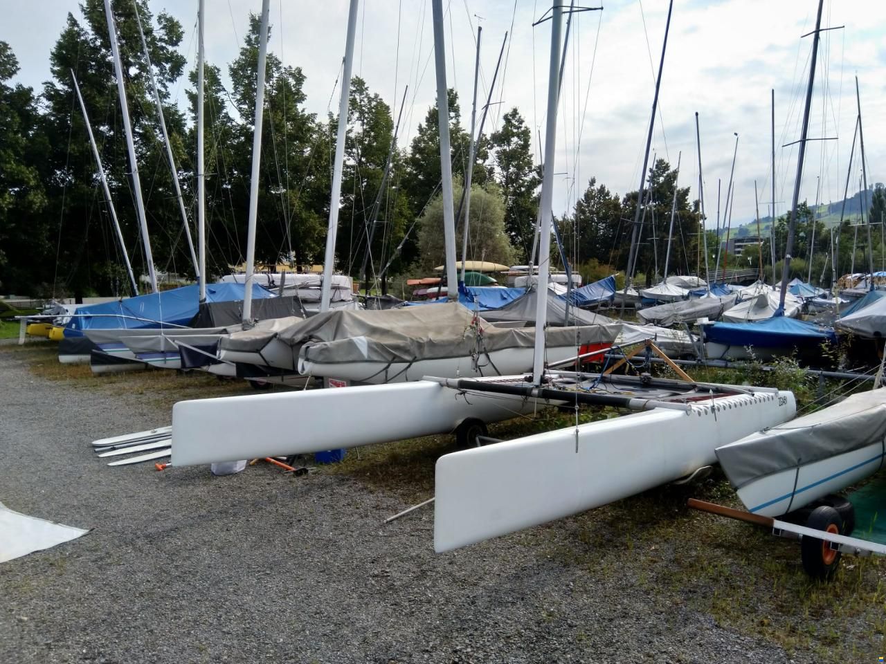 Scheurer A-Cat (modifiziert)