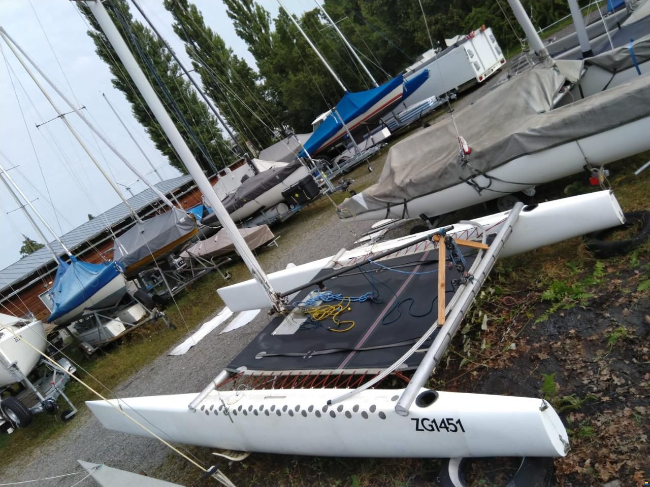 Scheurer A-Cat (modifiziert)