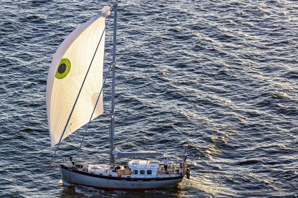 Noordkaper 43