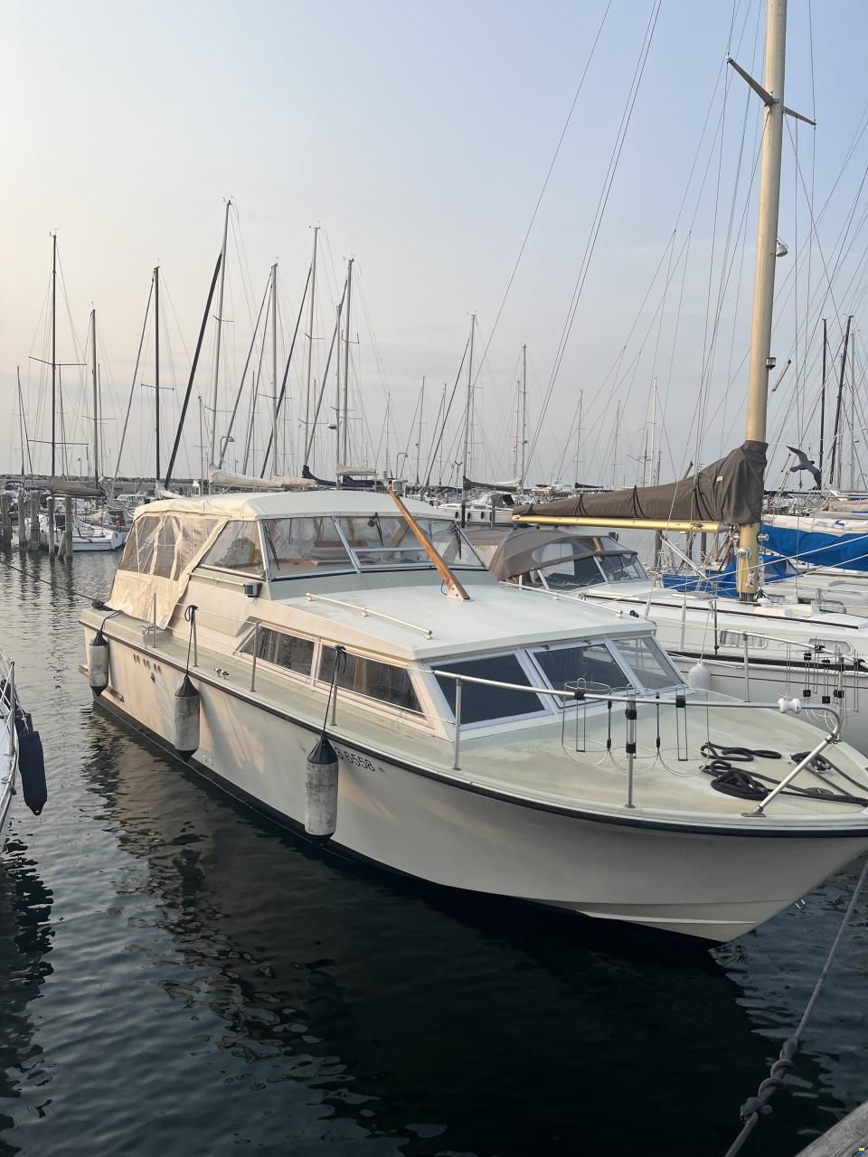 Coronet Seafarer 31