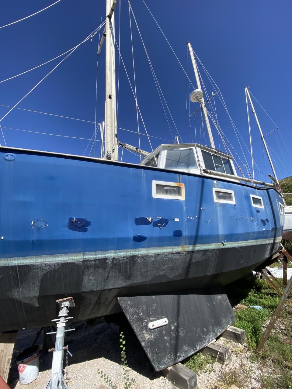 Falco 38