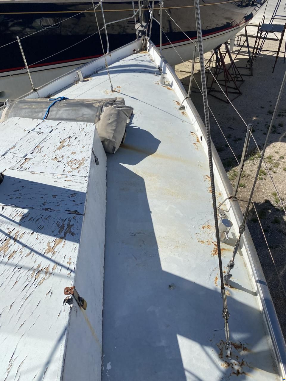 Falco 38