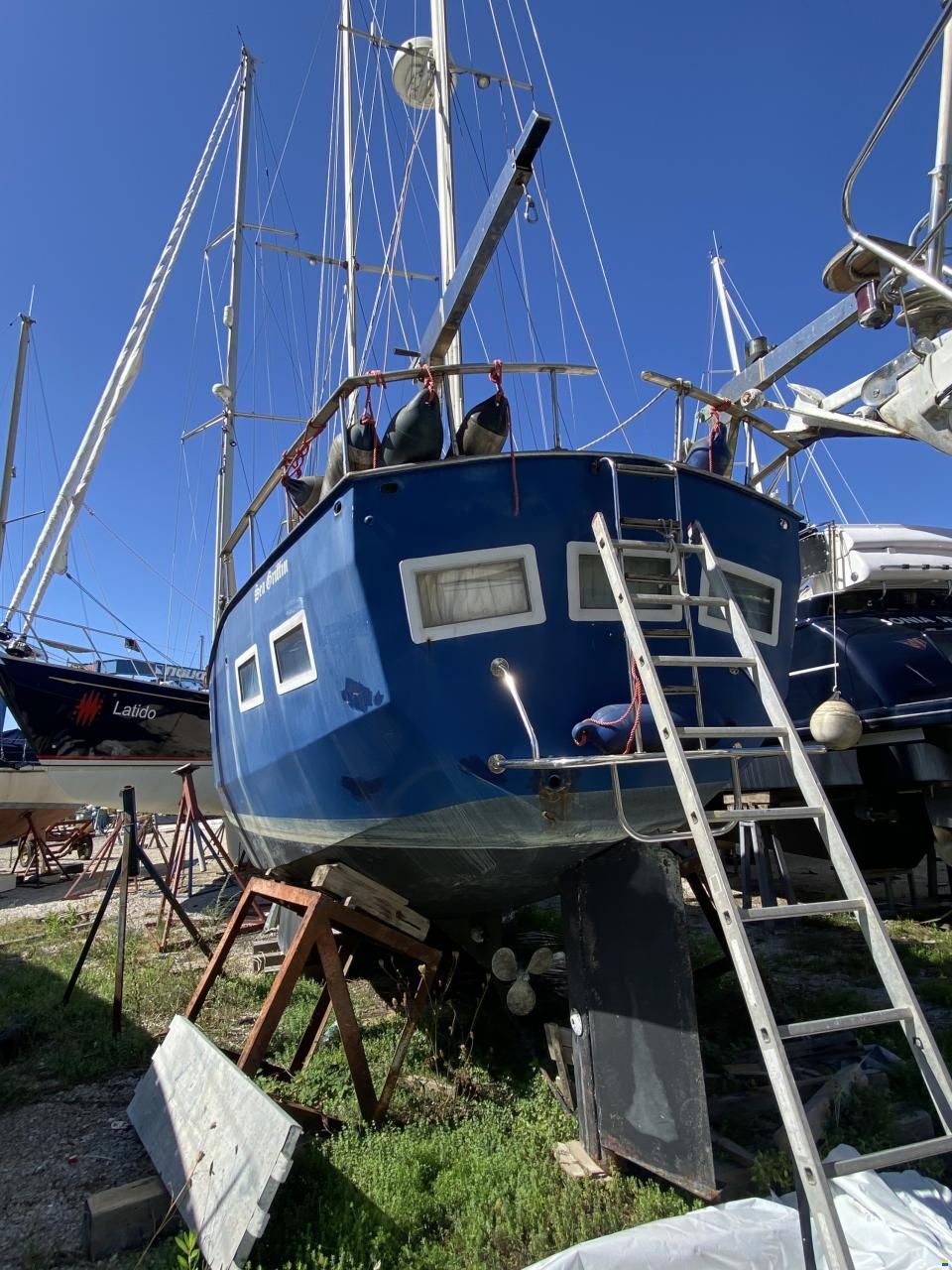 Falco 38