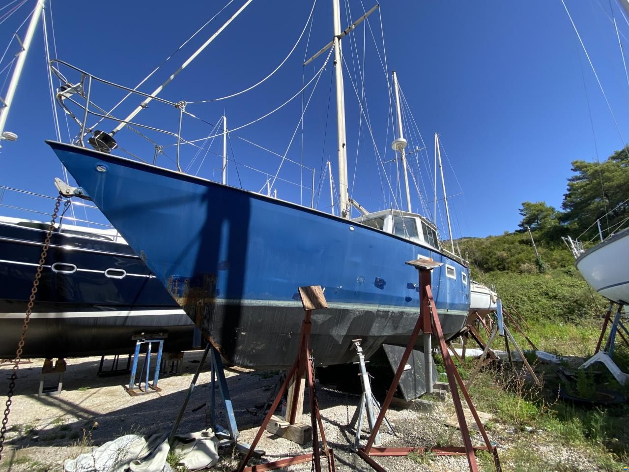 Falco 38