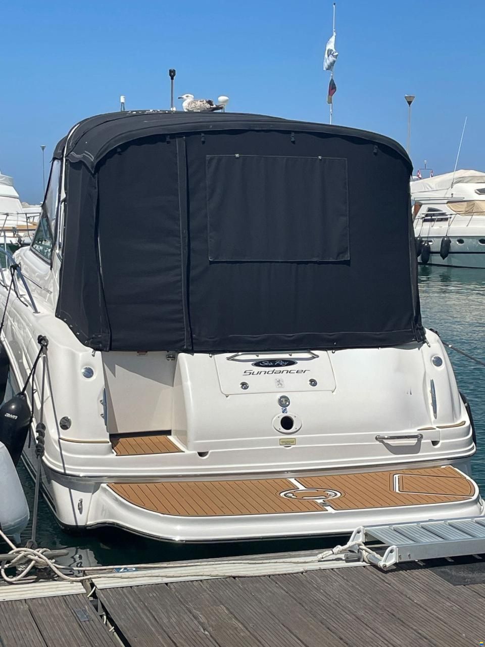 Sea Ray 300/335