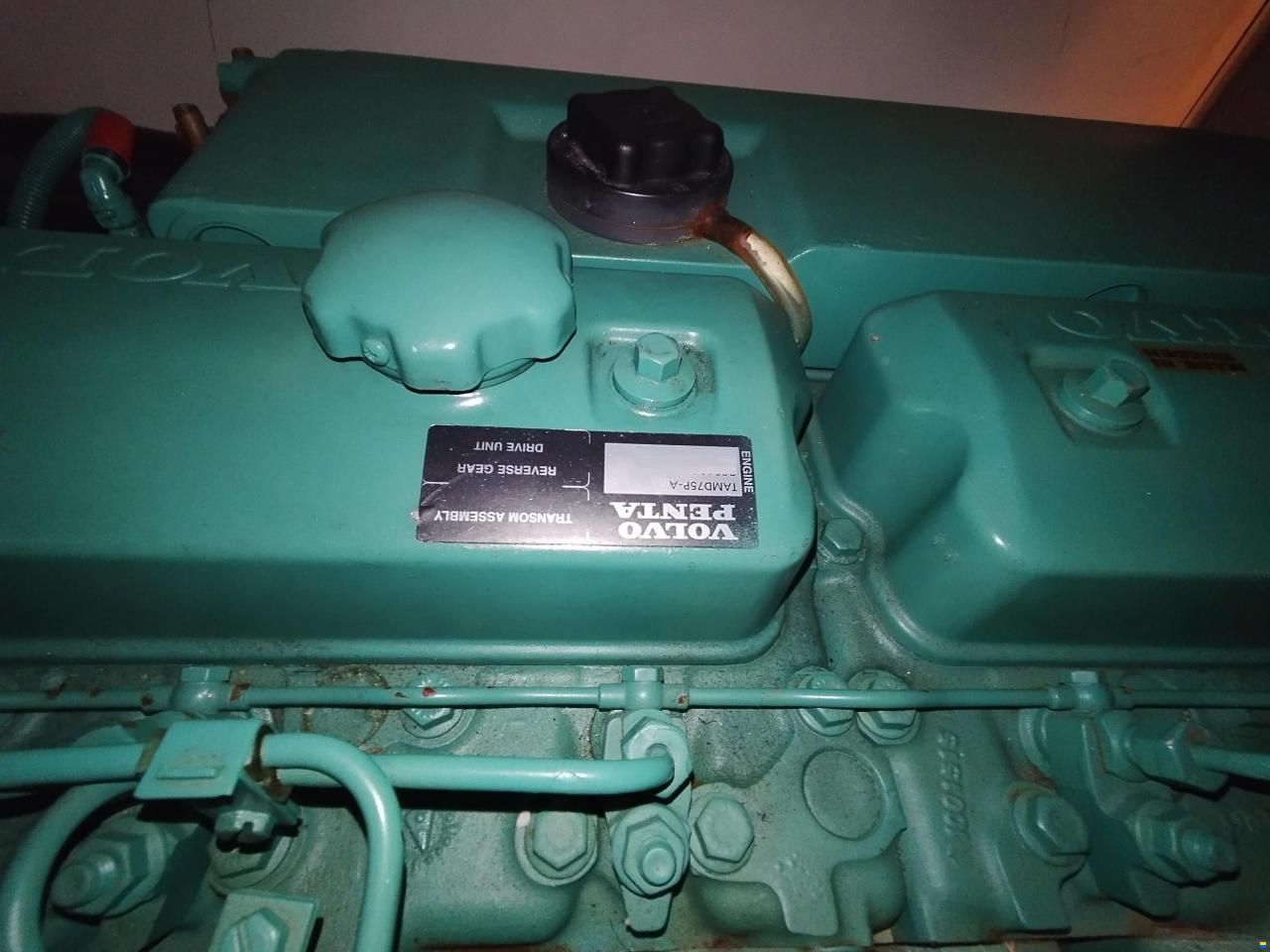 Princess V50