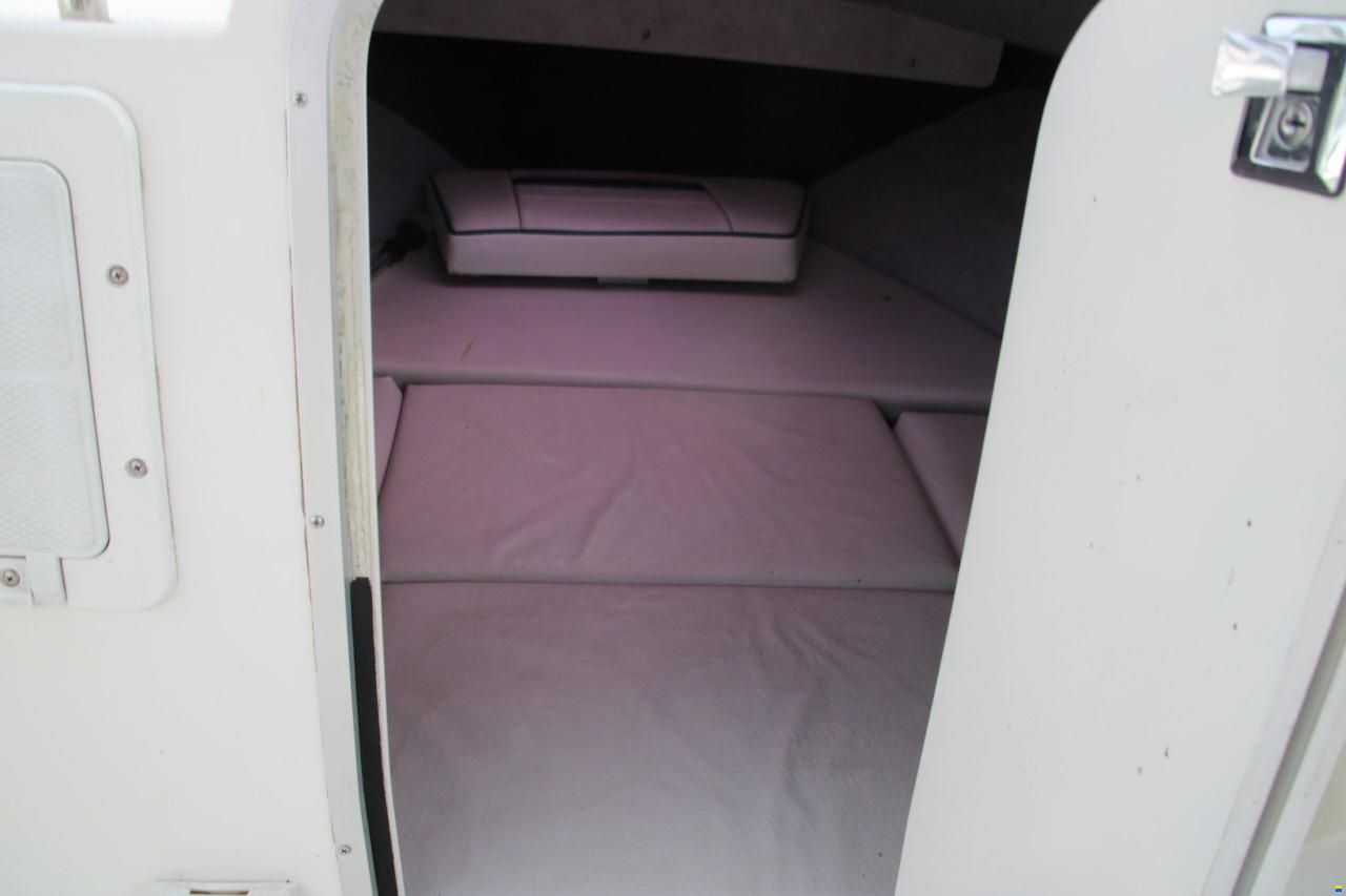 Campion 542 Explorer