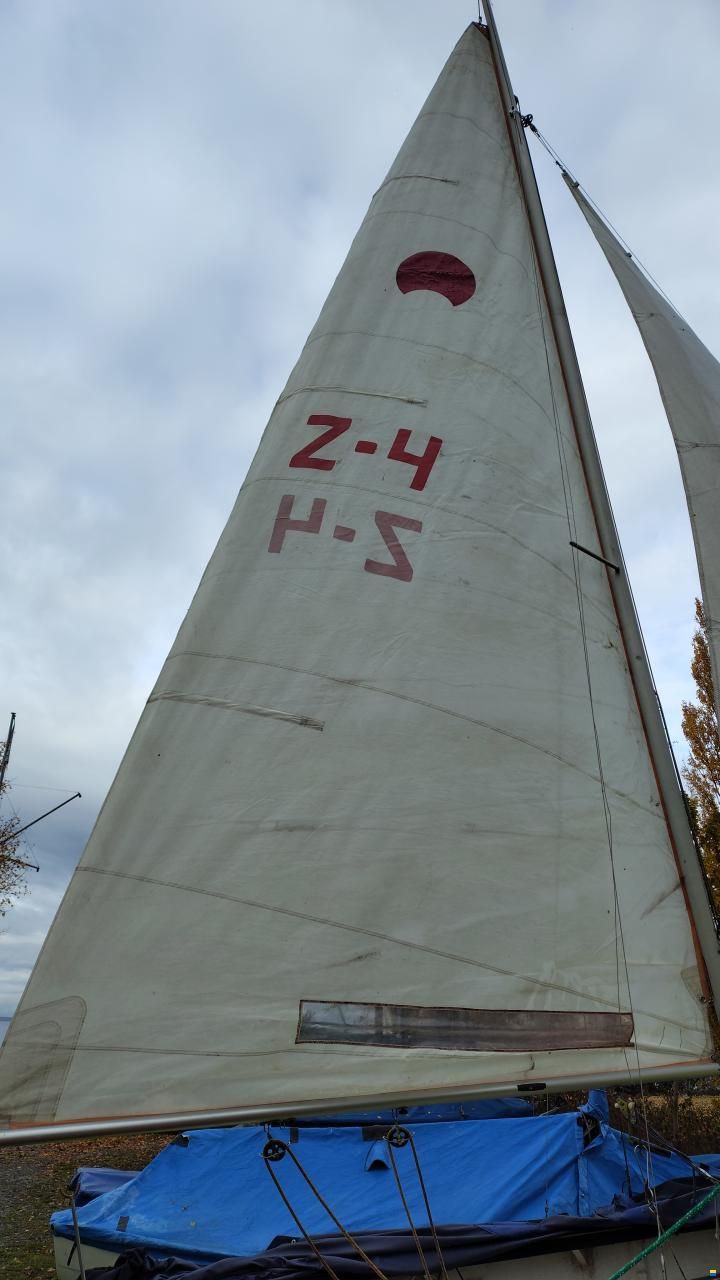 Spanker 19