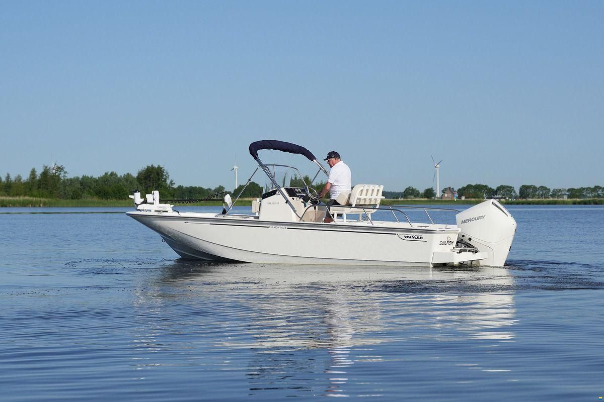 Boston Whaler 210 Montauk