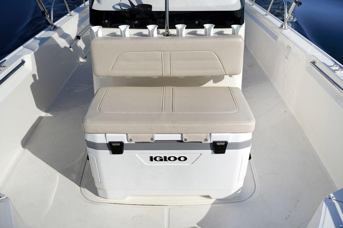 Boston Whaler 210 Montauk