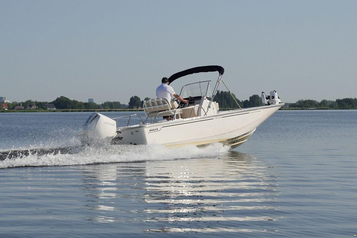 Boston Whaler 210 Montauk