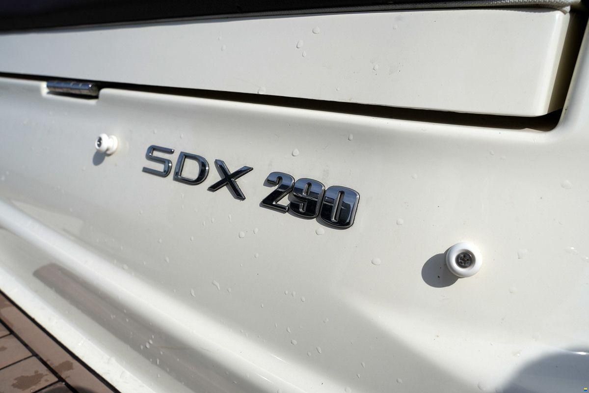 Sea Ray SDX 290 Outboard