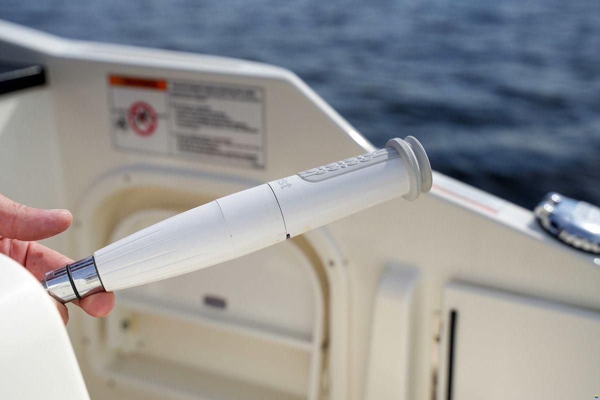 Sea Ray SDX 290 Outboard