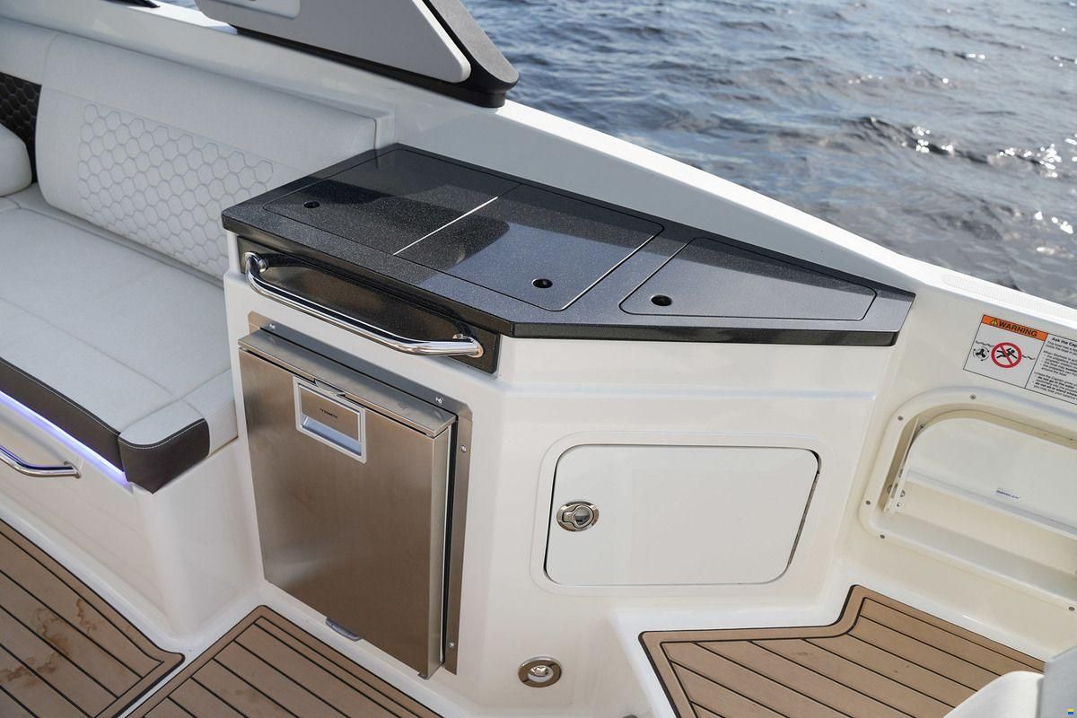 Sea Ray SDX 290 Outboard