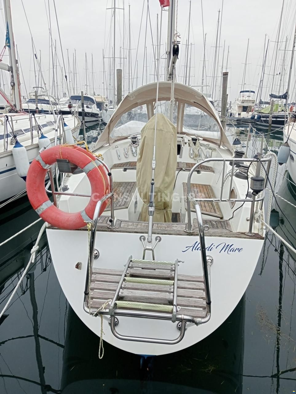 Zuanelli 34