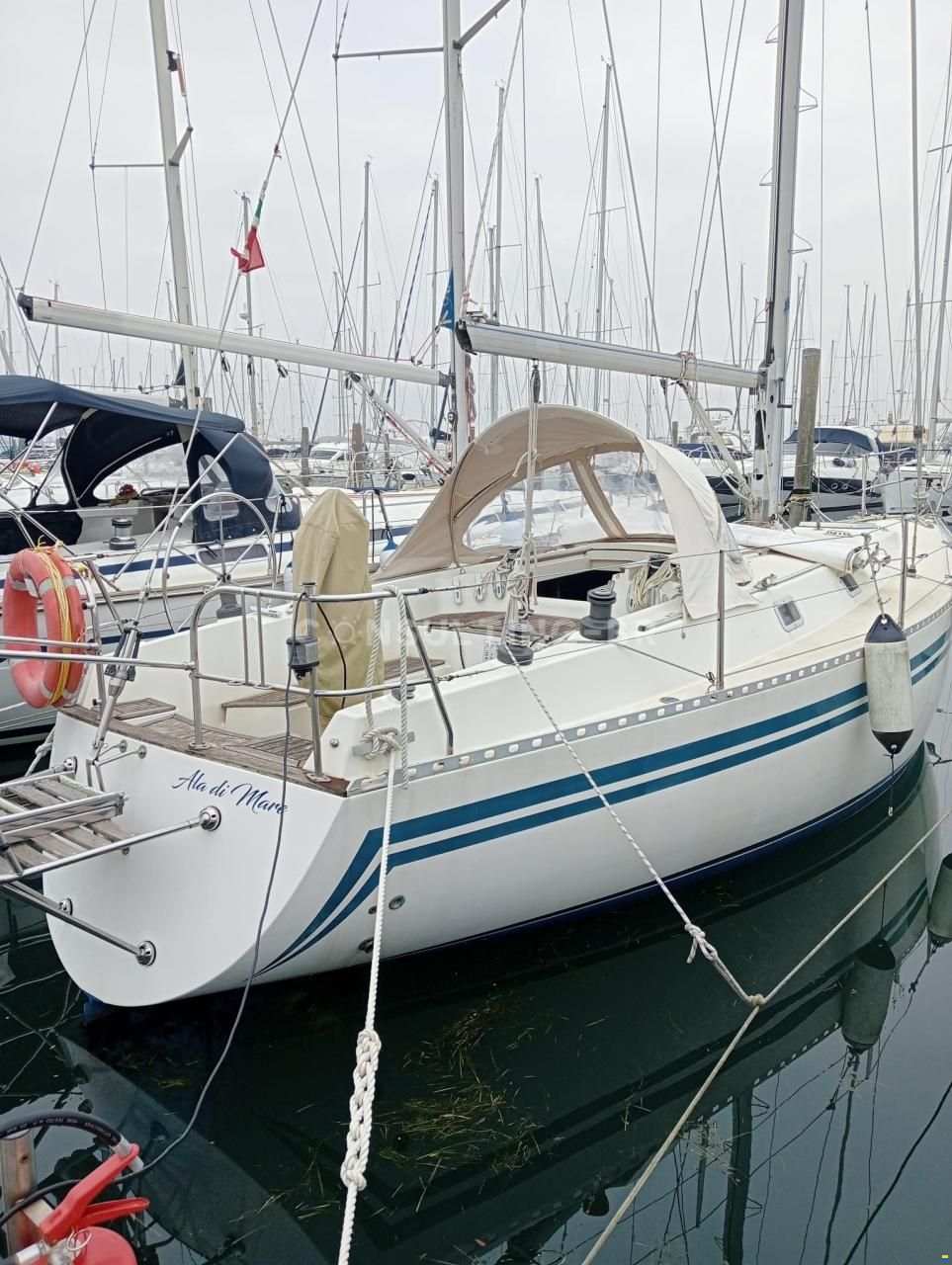 Zuanelli 34