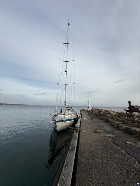 Malö 42