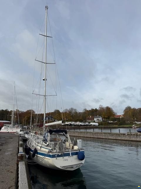 Malö 42