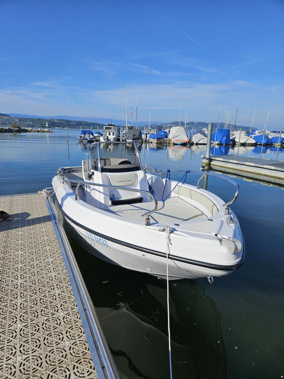 Ranieri Voyager 19S