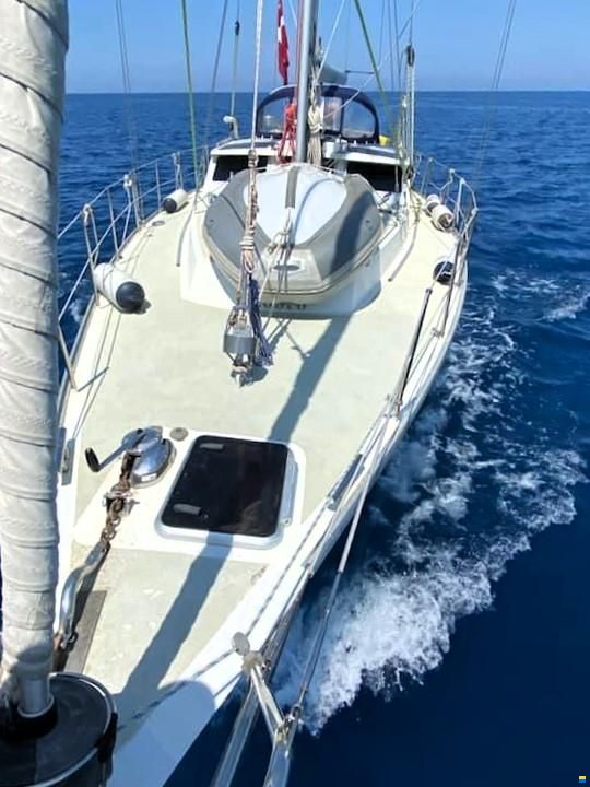 Scandi 42
