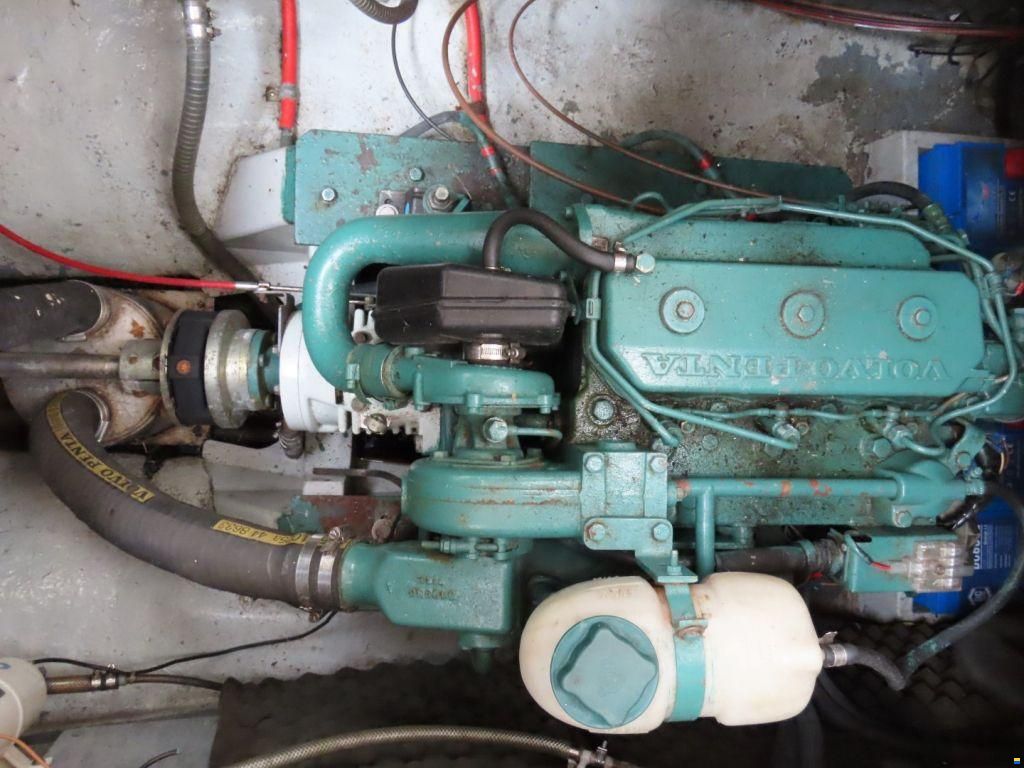 Fisher 31