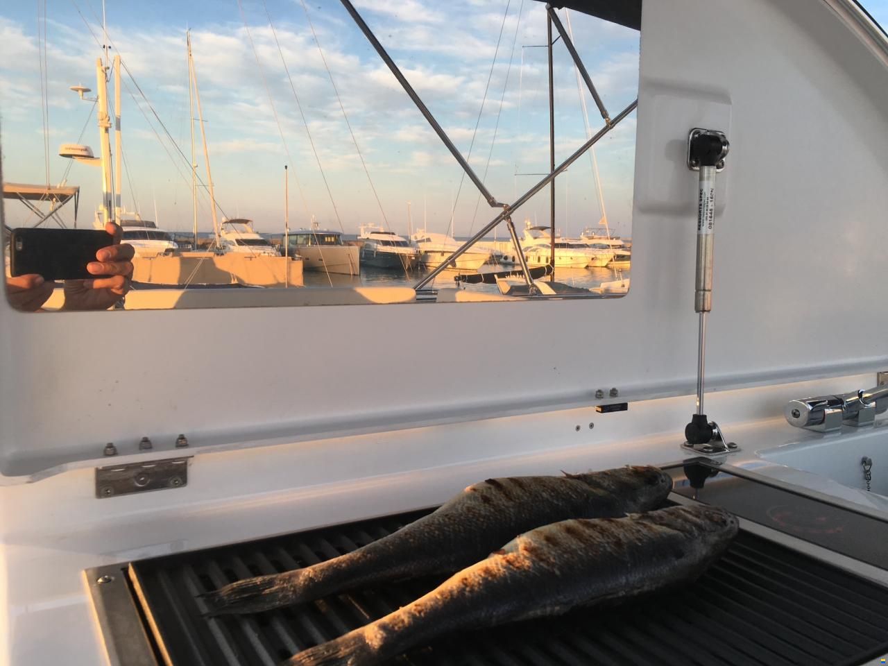 Jeanneau Velasco 43f