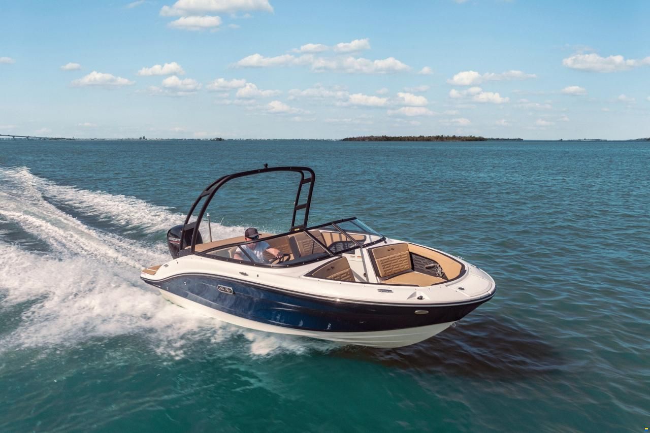 Sea Ray SPX 190 OB Europe