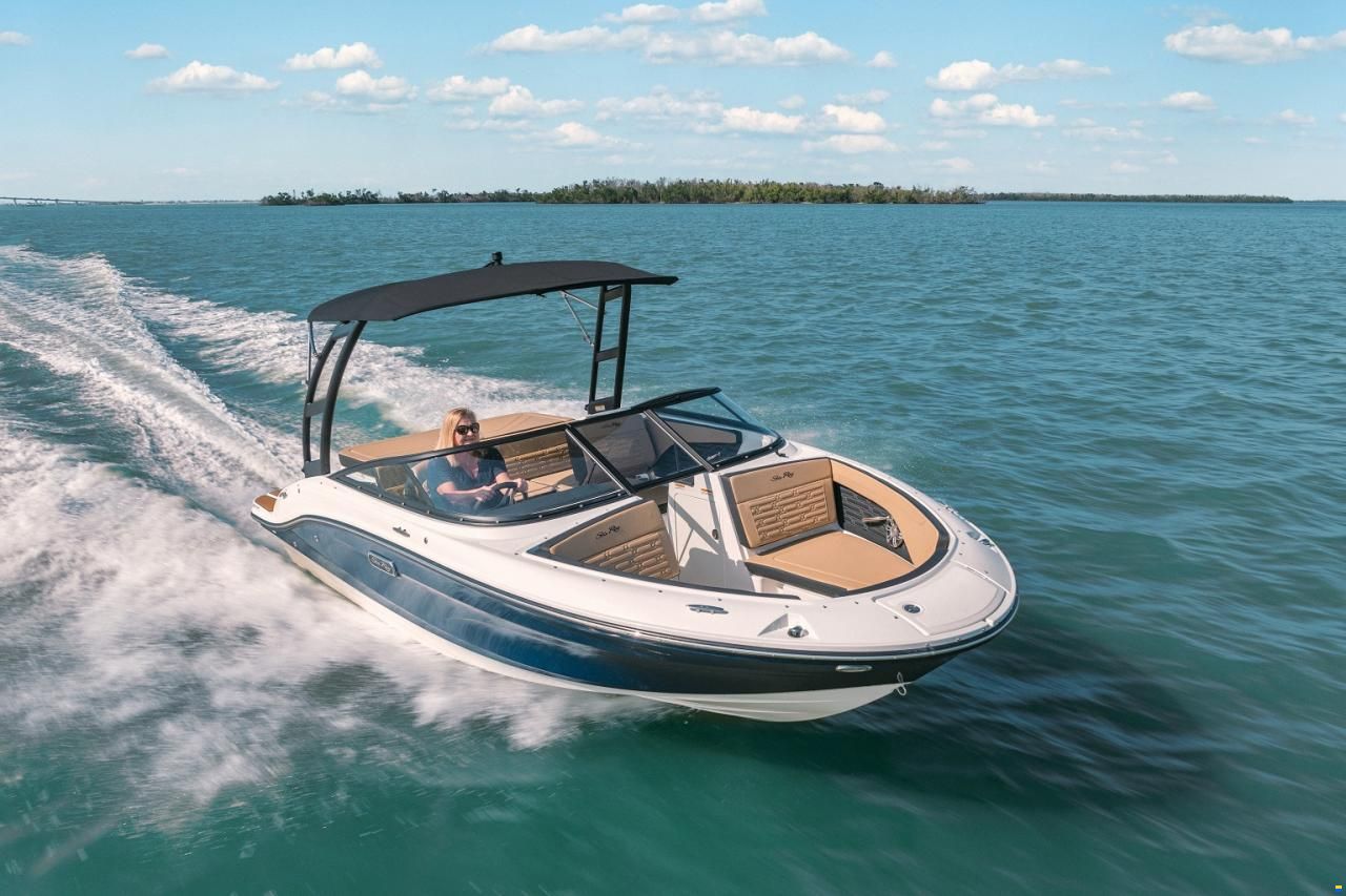 Sea Ray SPX 190 Europe