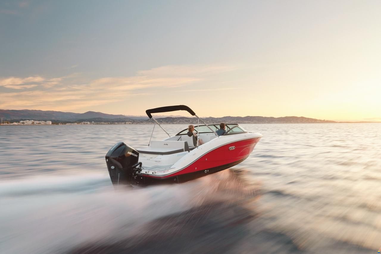 Sea Ray SPX 210 OB Europe