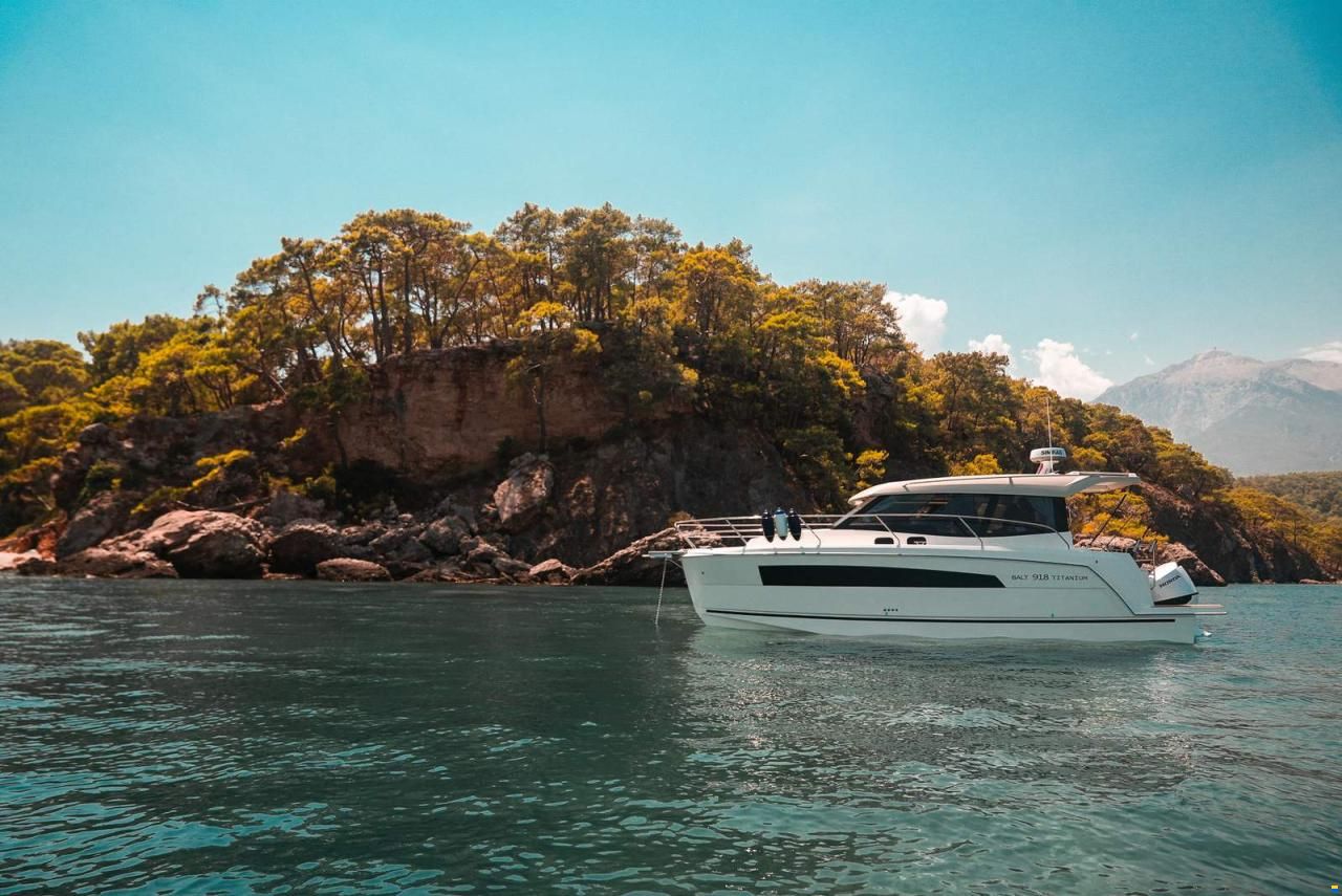 Balt ➤ 918 Titanium